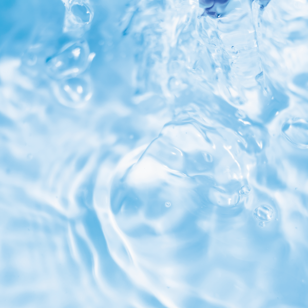 食べる事を改めて考えなおす